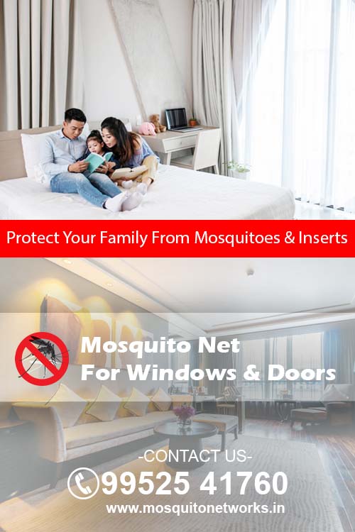 Mosquito netlon works in chennai